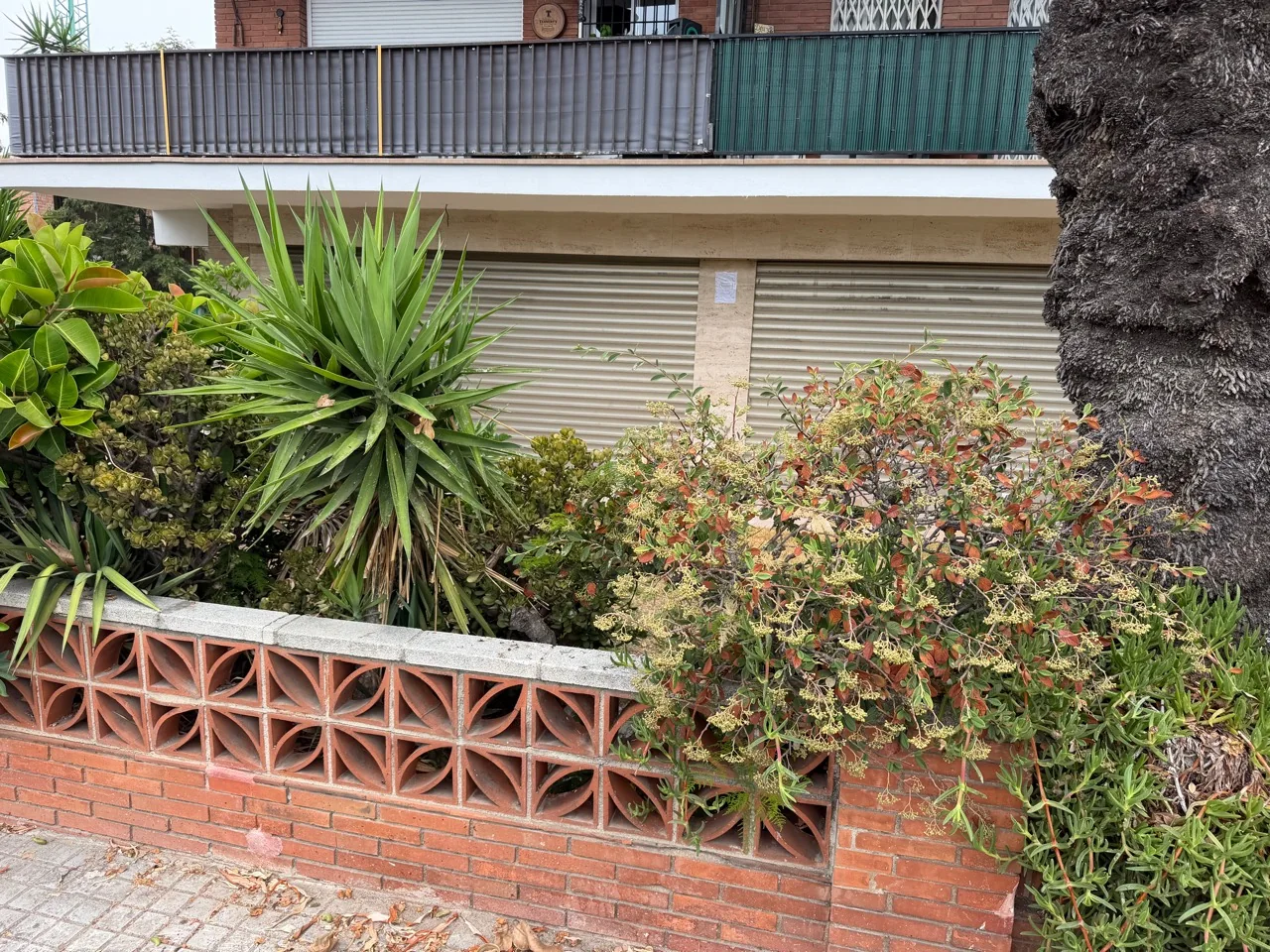 Exterior del edificio y la vegetación junto al local de Anaël en Premià de Mar